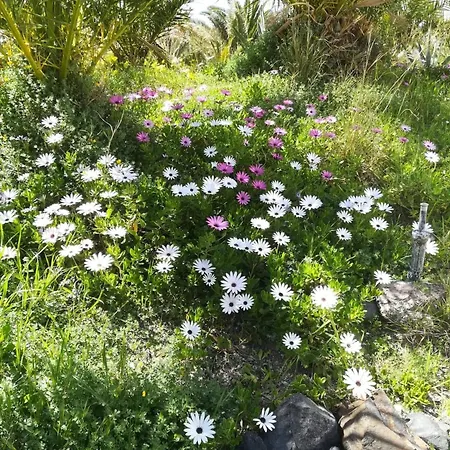 别墅 Hones - Relax House 佩里萨