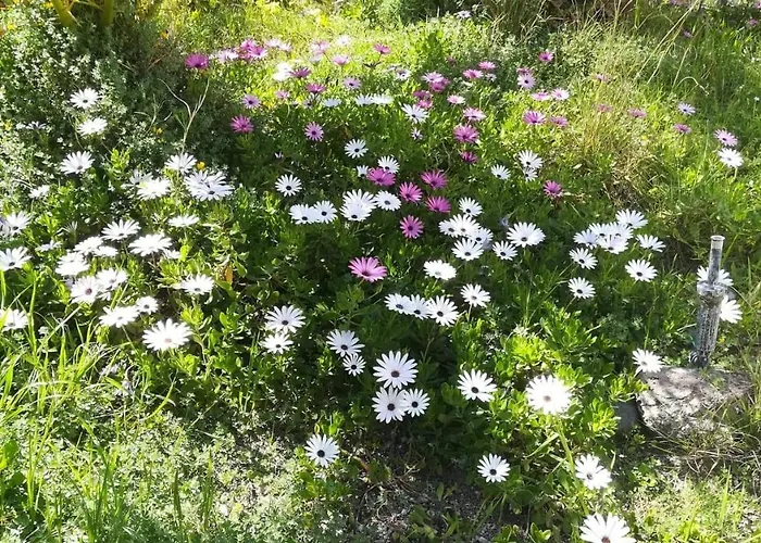 Vila Hones - Relax House Perissa (Santorini)