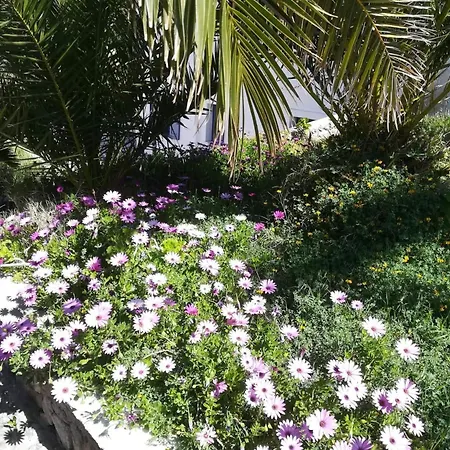 Villa Hones - Relax House *