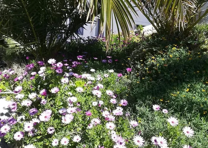 Willa Hones - Relax House *